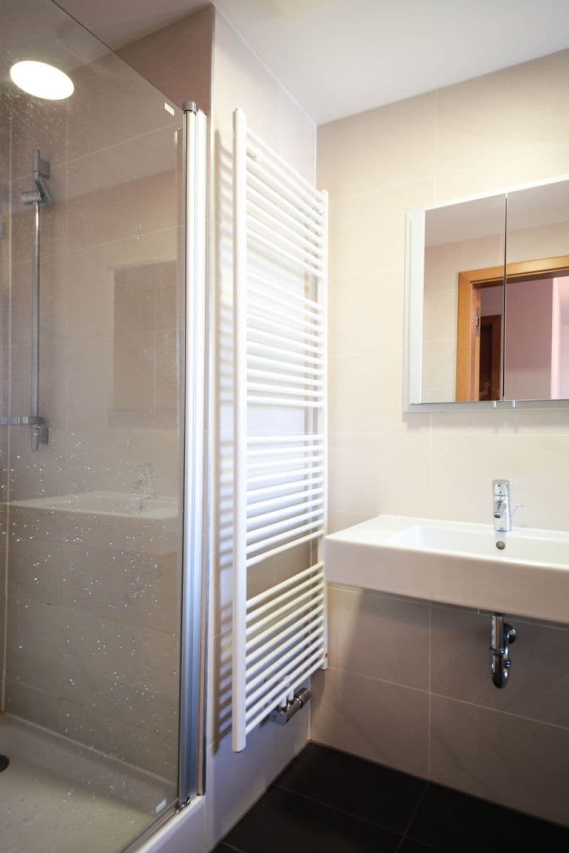 flat to rent, 100 m², Ke Kapslovně, Prague, Prague