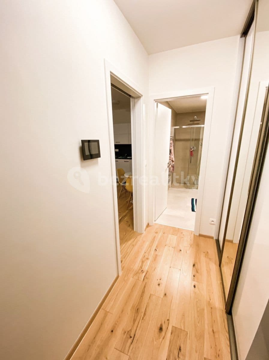 flat to rent, 30 m², Na Valentince, Prague, Prague