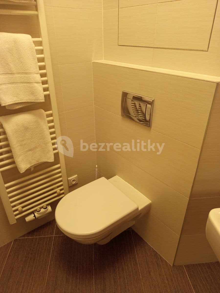 flat to rent, 46 m², Teplická, Prague, Prague