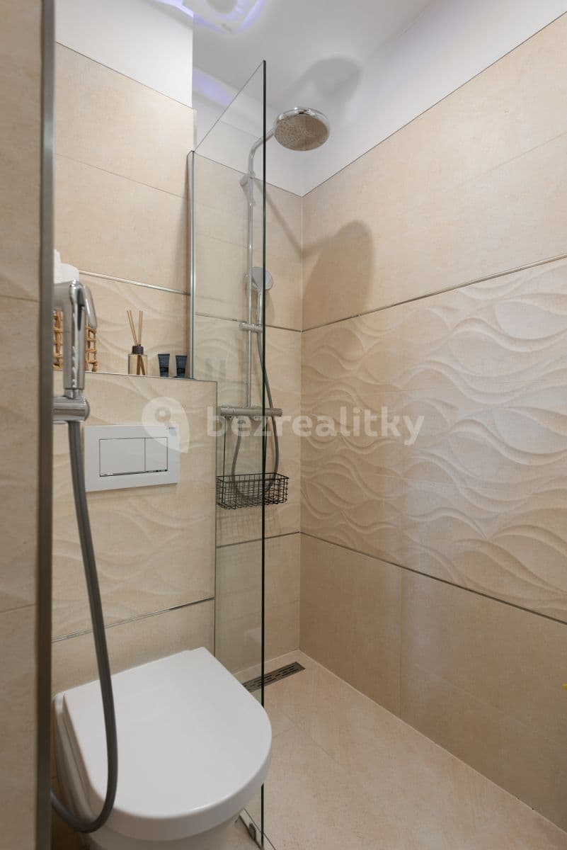 flat to rent, 30 m², Moravská, Prague, Prague