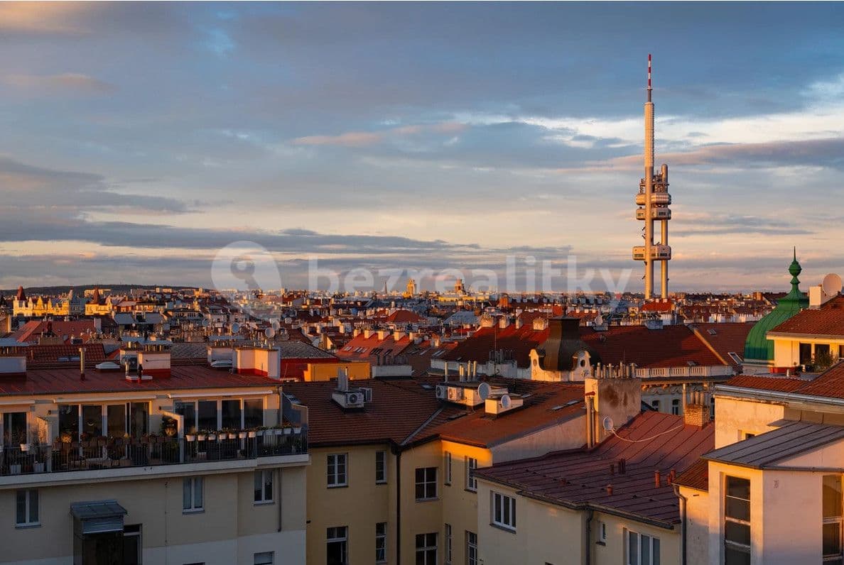 flat to rent, 30 m², Moravská, Prague, Prague