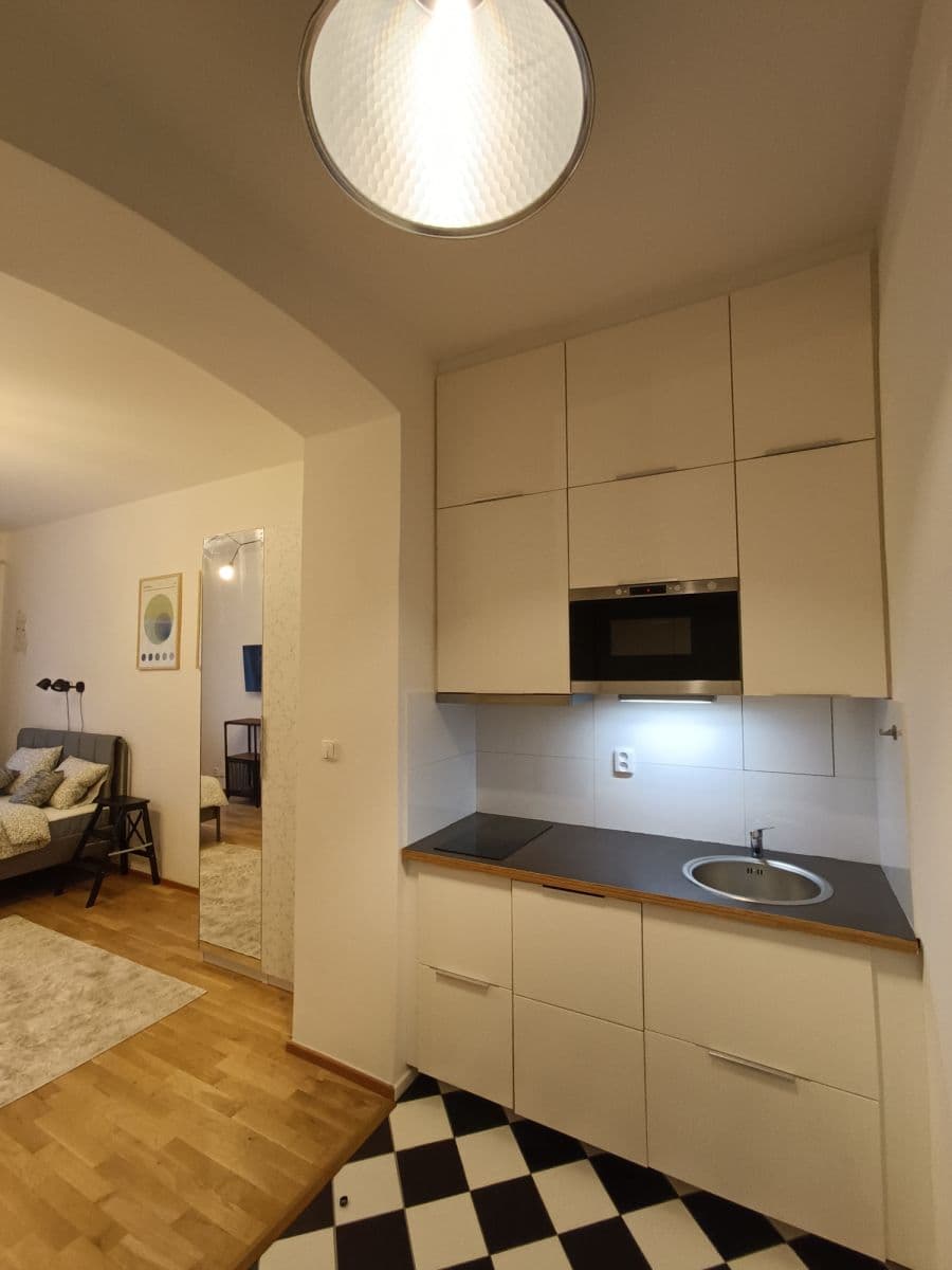 flat to rent, 35 m², Milíčova, Prague, Prague