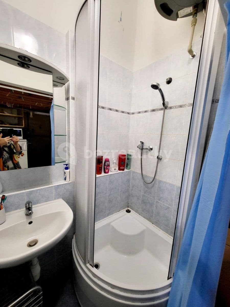 flat to rent, 25 m², Heřmanova, Prague, Prague