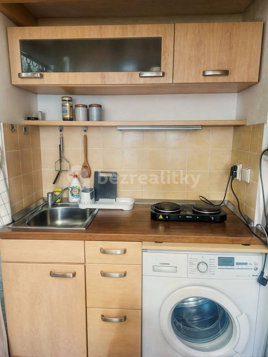 flat to rent, 25 m², Heřmanova, Prague, Prague