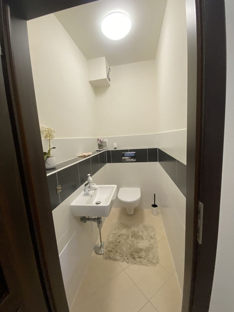 flat to rent, 52 m², Svitákova, Prague, Prague