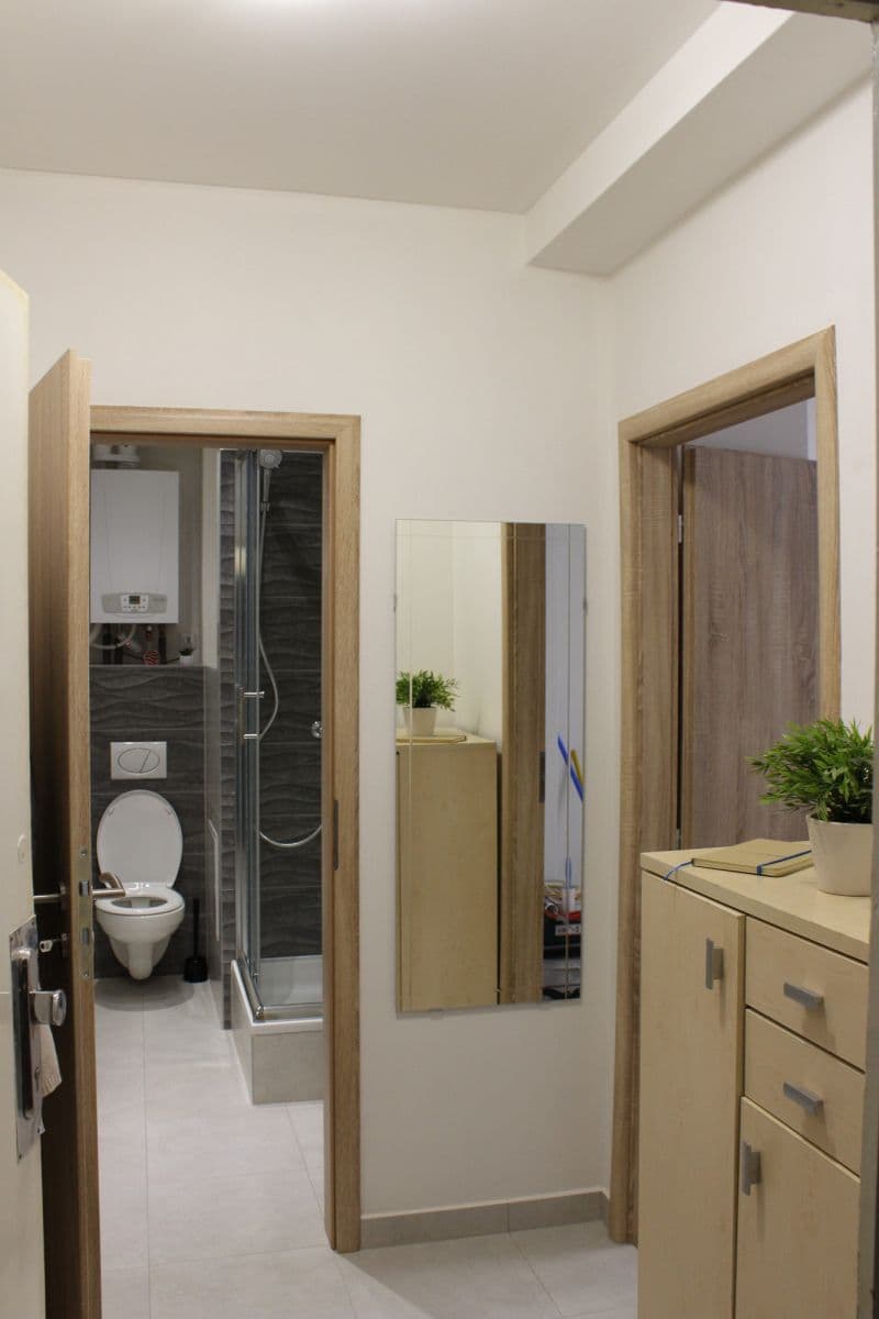 flat to rent, 43 m², Renneská třída, Brno, Jihomoravský Region