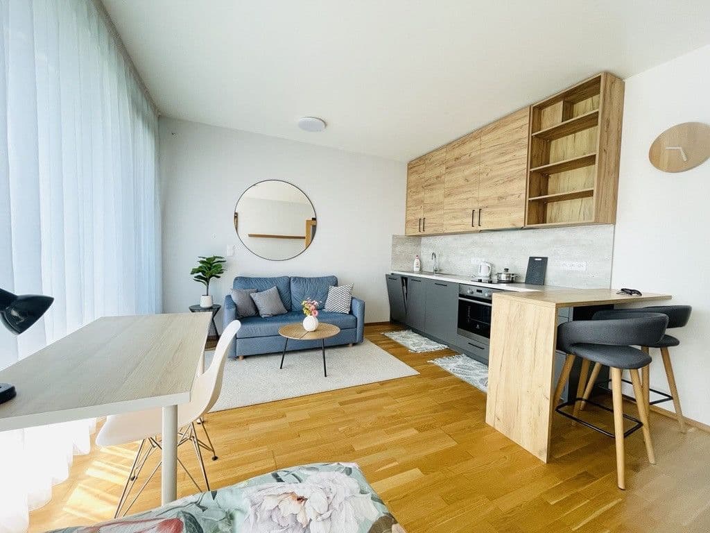 flat to rent, 35 m², U pruhonu B, Prague, Prague