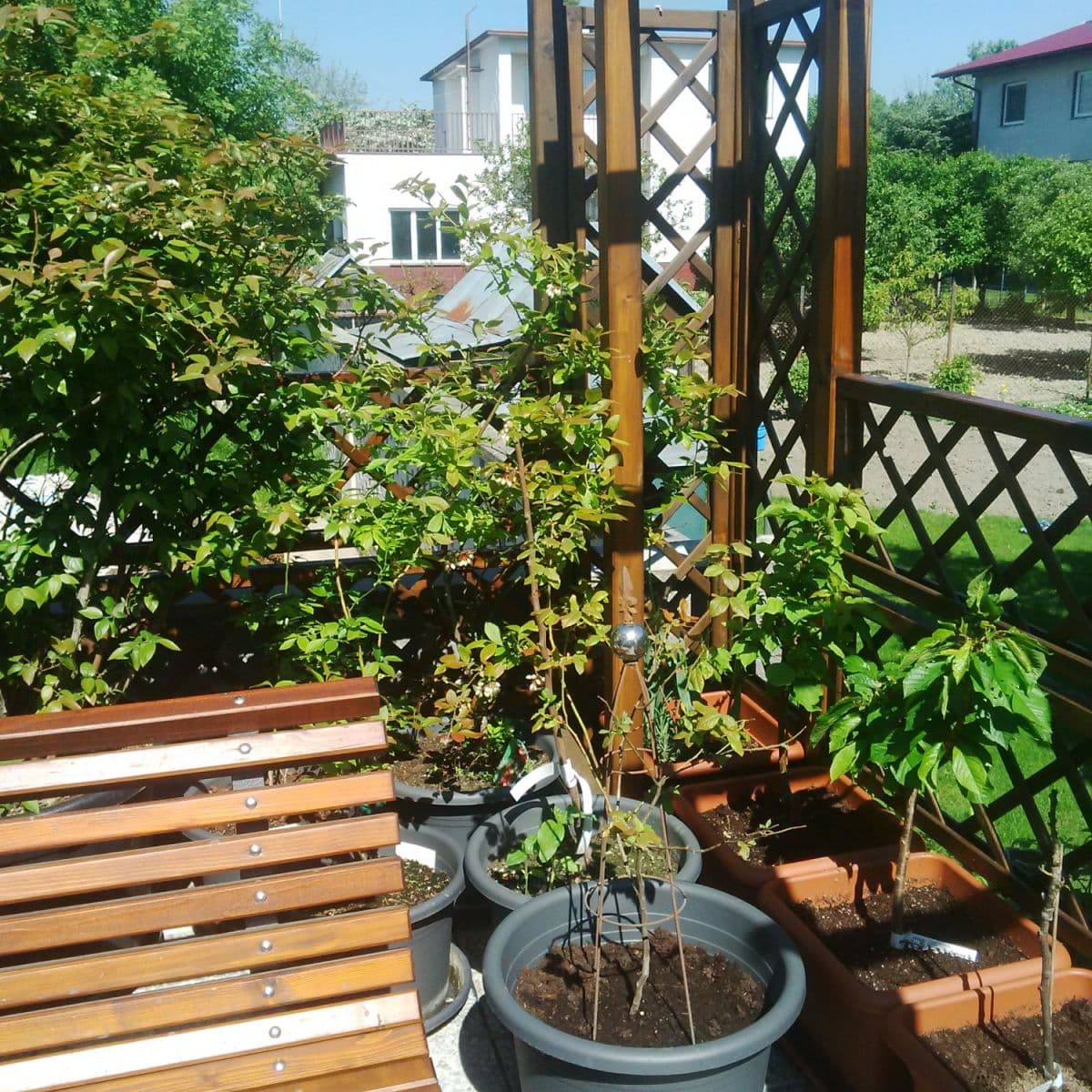 flat to rent, 24 m², Novobanská, Petržalka, Bratislavský Region