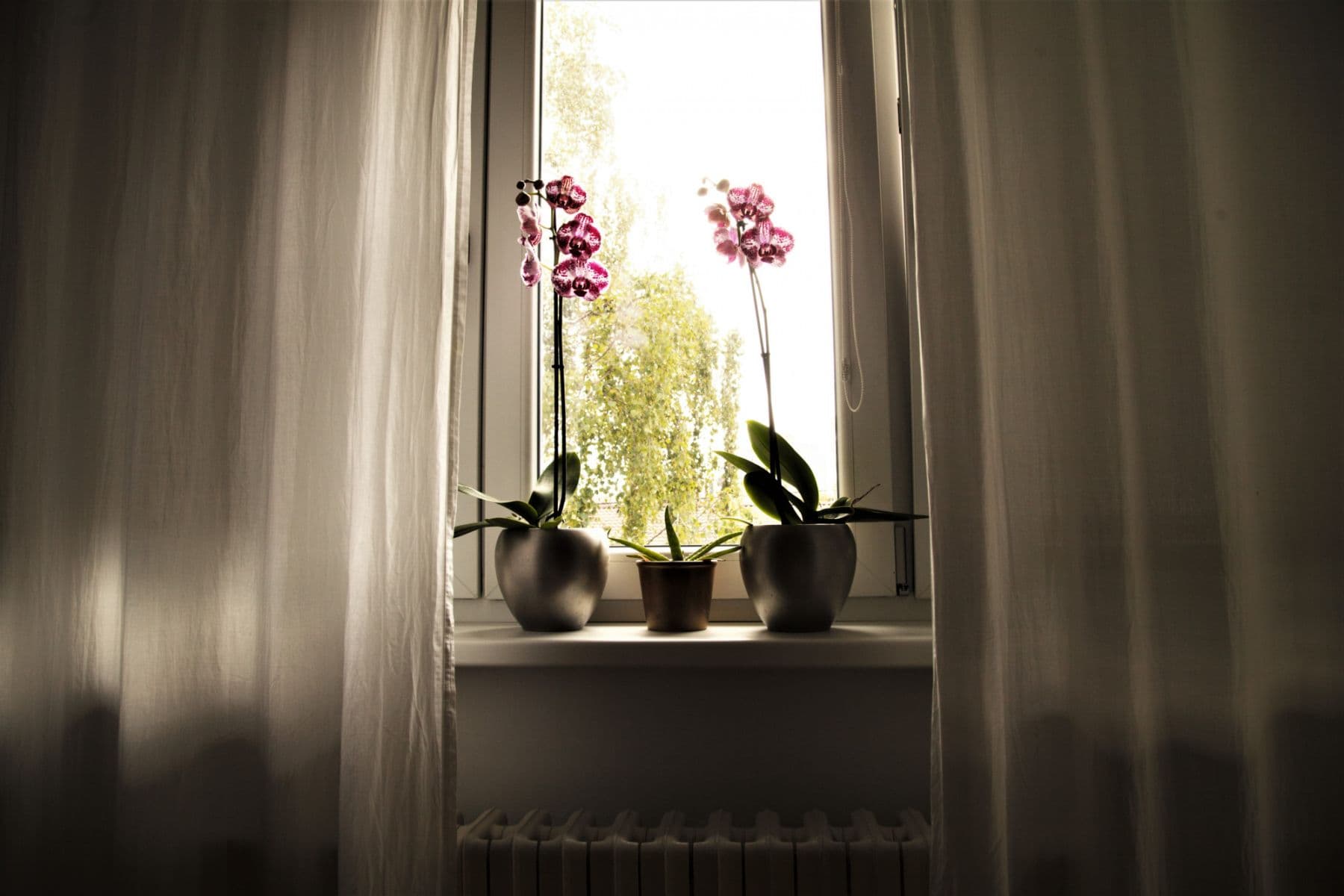 flat to rent, 24 m², Novobanská, Petržalka, Bratislavský Region