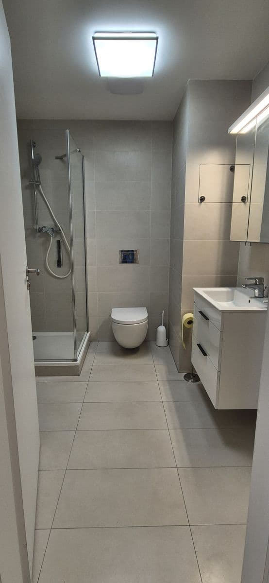 flat to rent, 45 m², Zvěřinova, Prague, Prague