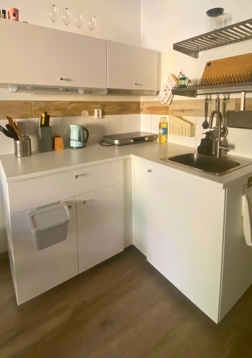 flat to rent, 19 m², Lucemburská, Prague, Prague