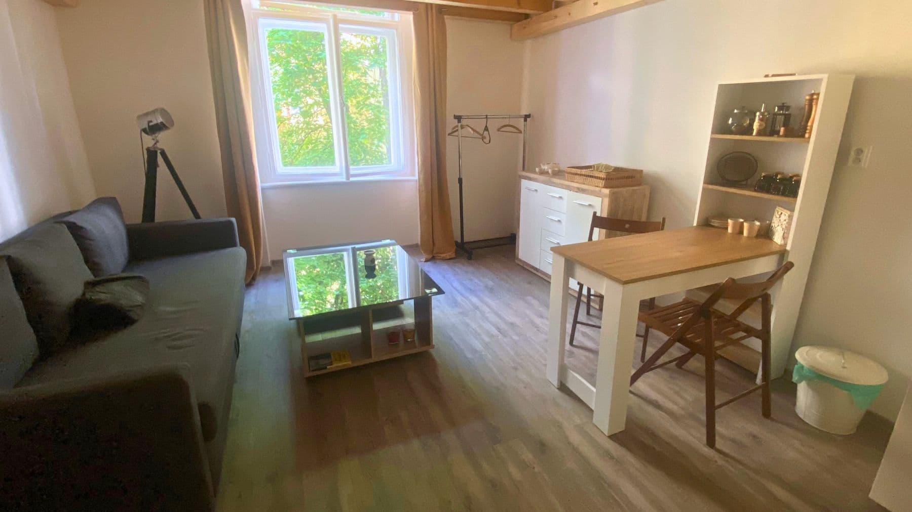 flat to rent, 19 m², Lucemburská, Prague, Prague