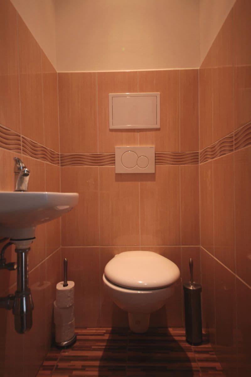 flat to rent, 86 m², Dobrovského, Prague, Prague