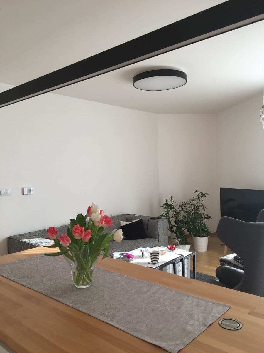 flat to rent, 85 m², Olgy Havlove, Prague, Prague