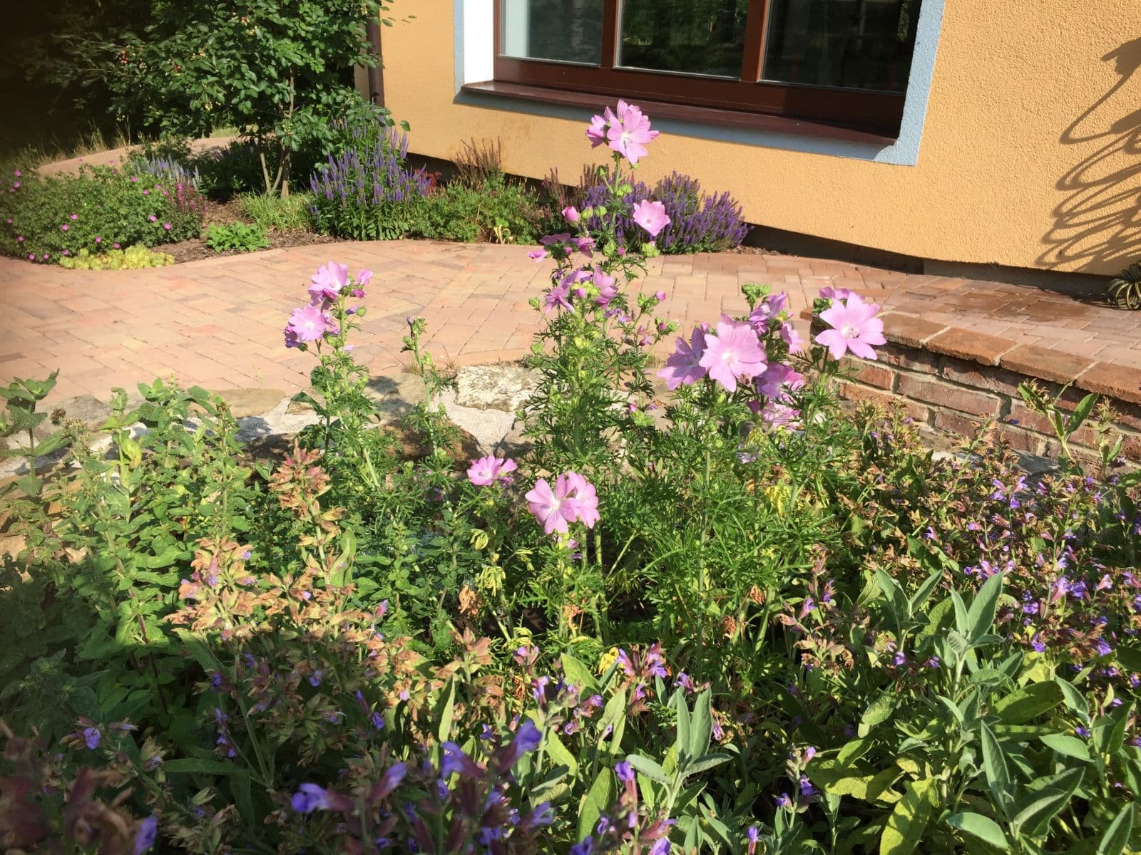 flat to rent, 33 m², Brázdim, Středočeský Region