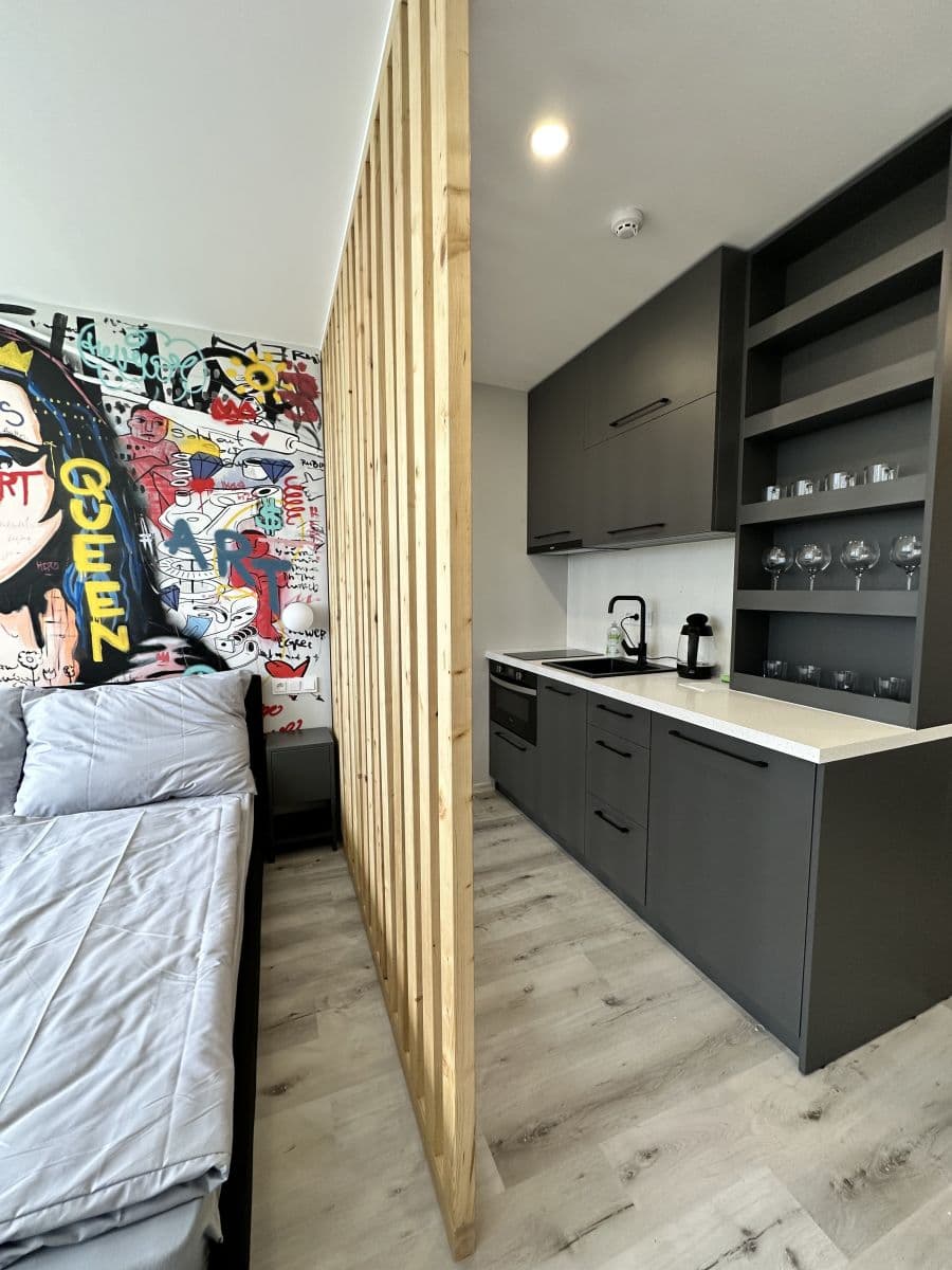 flat to rent, 24 m², Děčínská, Prague, Prague