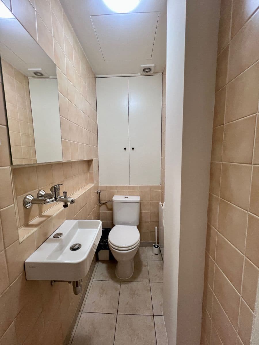 flat to rent, 65 m², Ostrovní, Prague, Prague