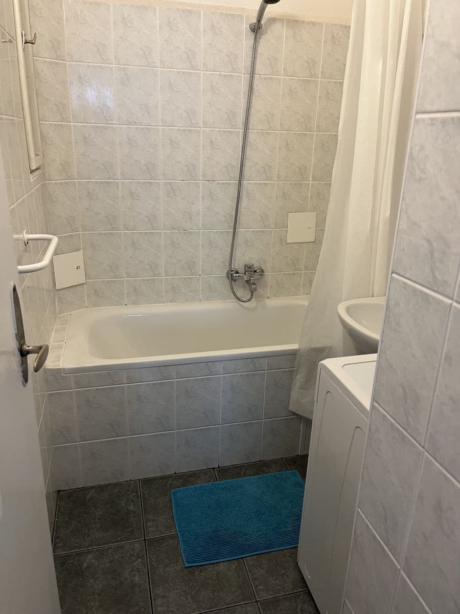 flat to rent, 41 m², Kouřimská, Prague, Prague
