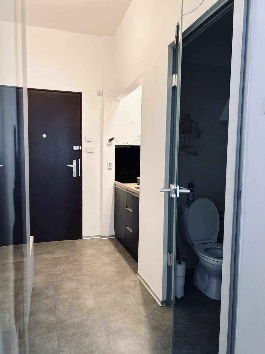 flat to rent, 38 m², Dlouhá, Prague, Prague