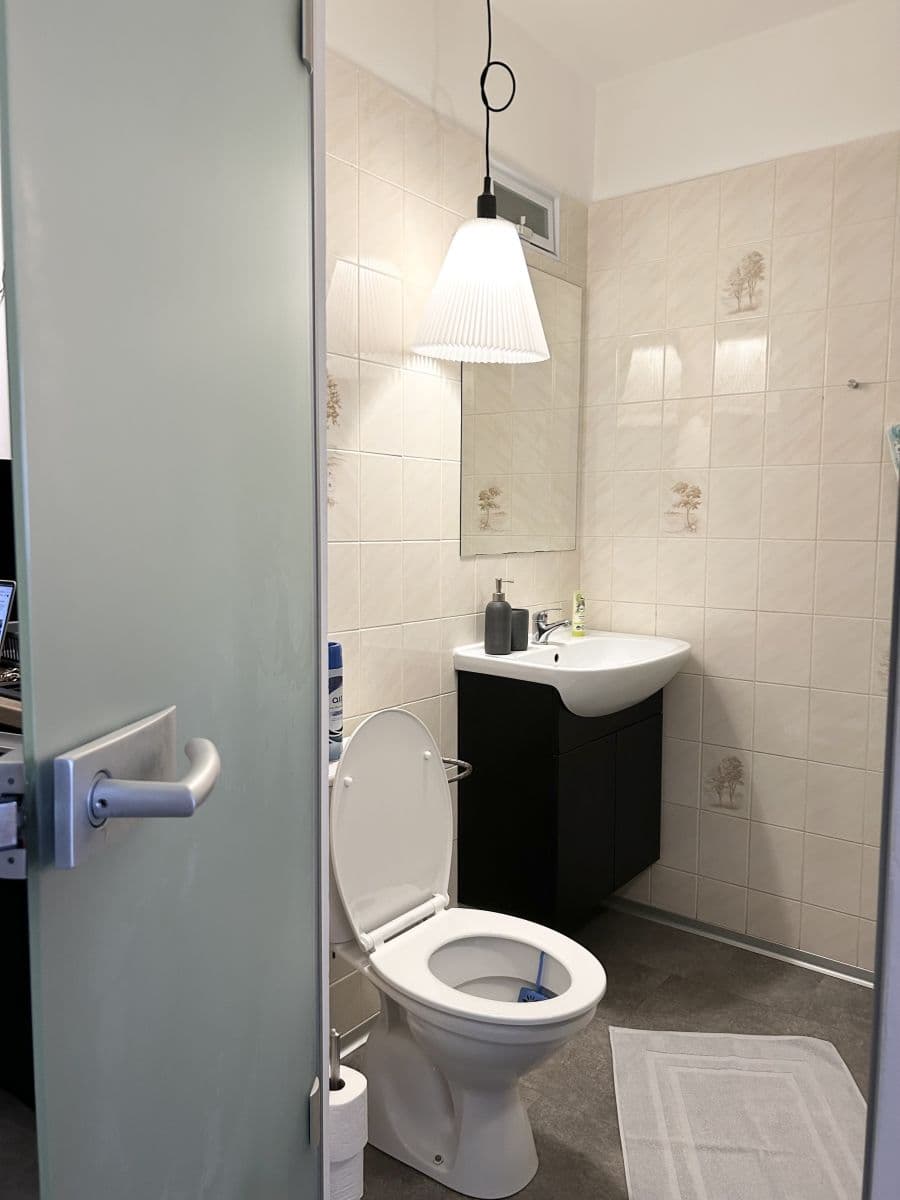 flat to rent, 38 m², Dlouhá, Prague, Prague