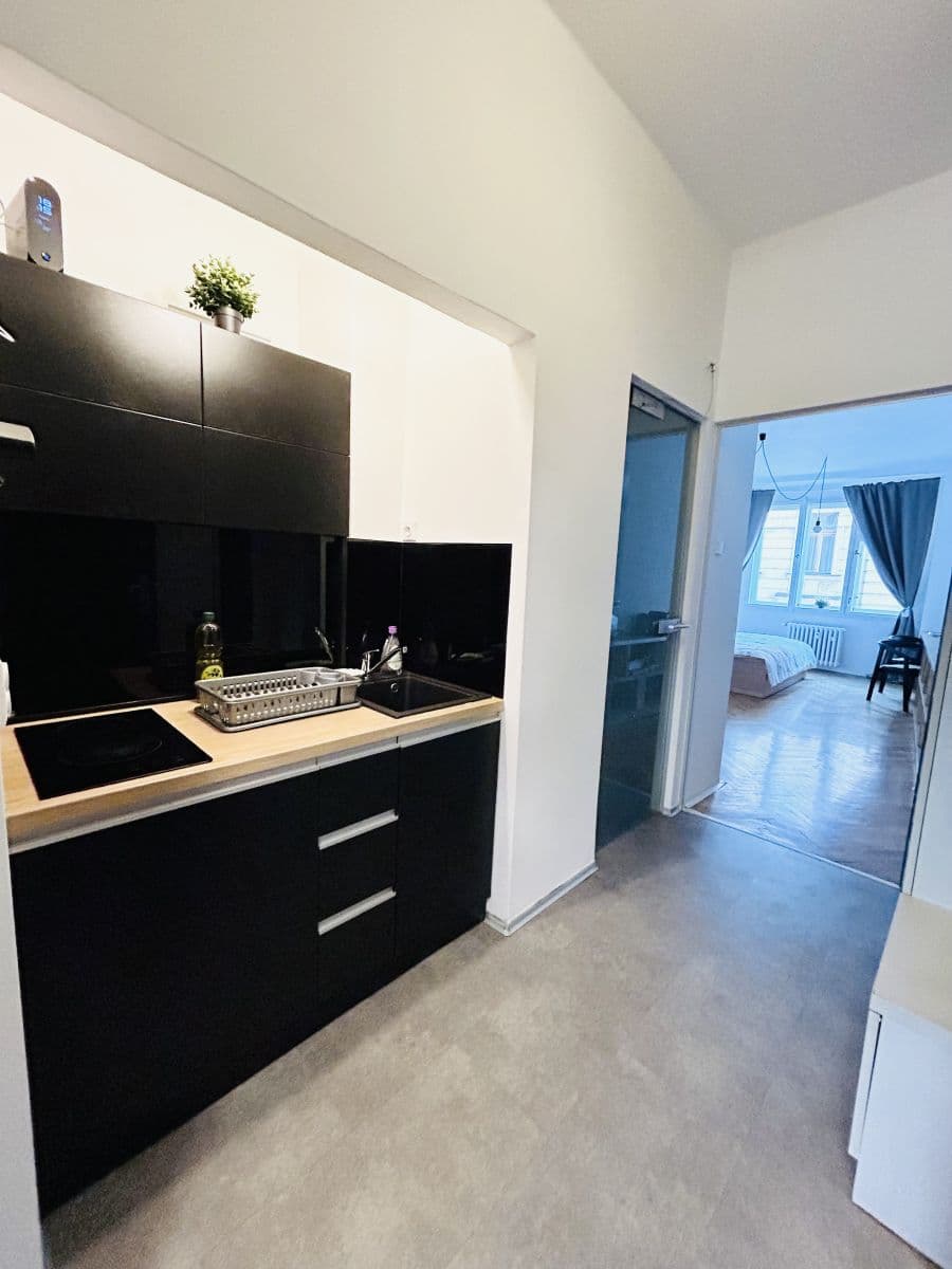 flat to rent, 38 m², Dlouhá, Prague, Prague