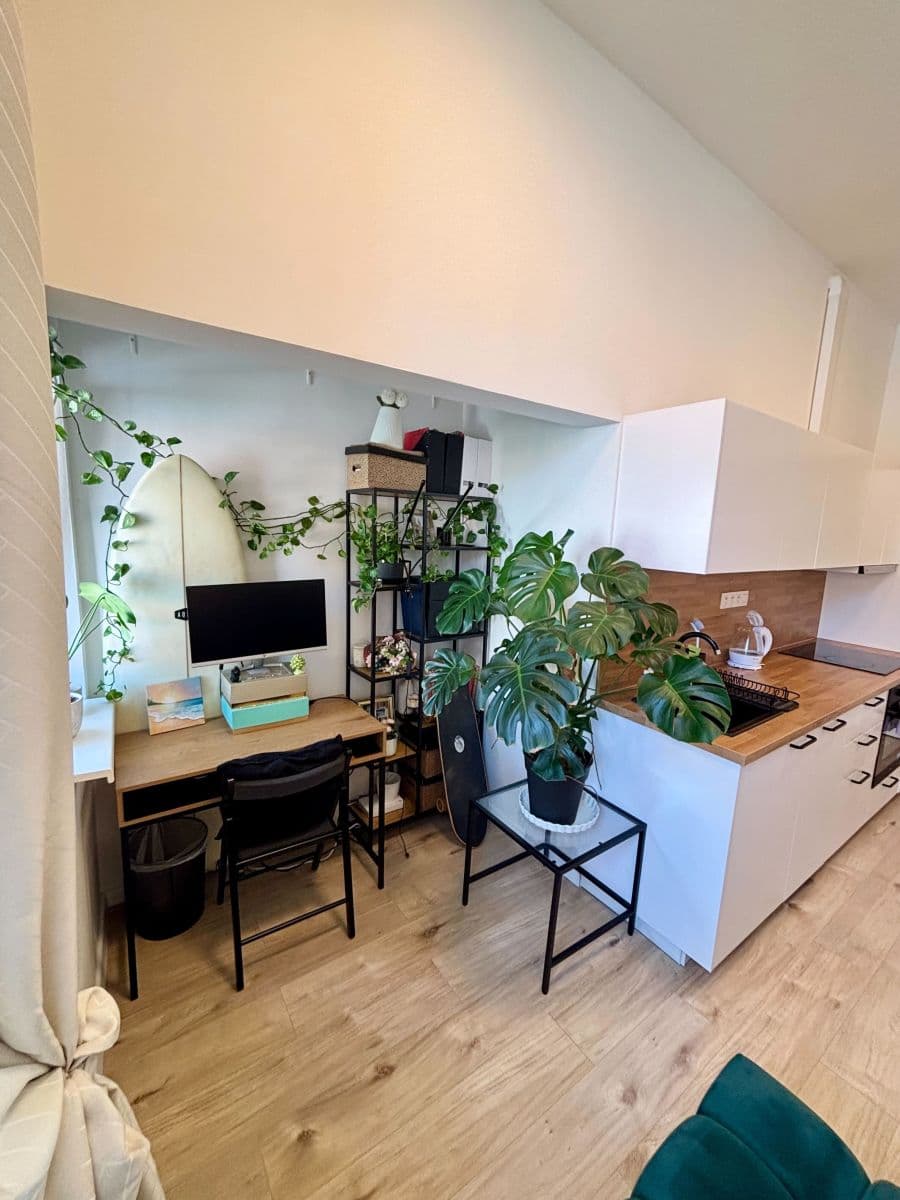 flat to rent, 45 m², Zenklova, Prague, Prague
