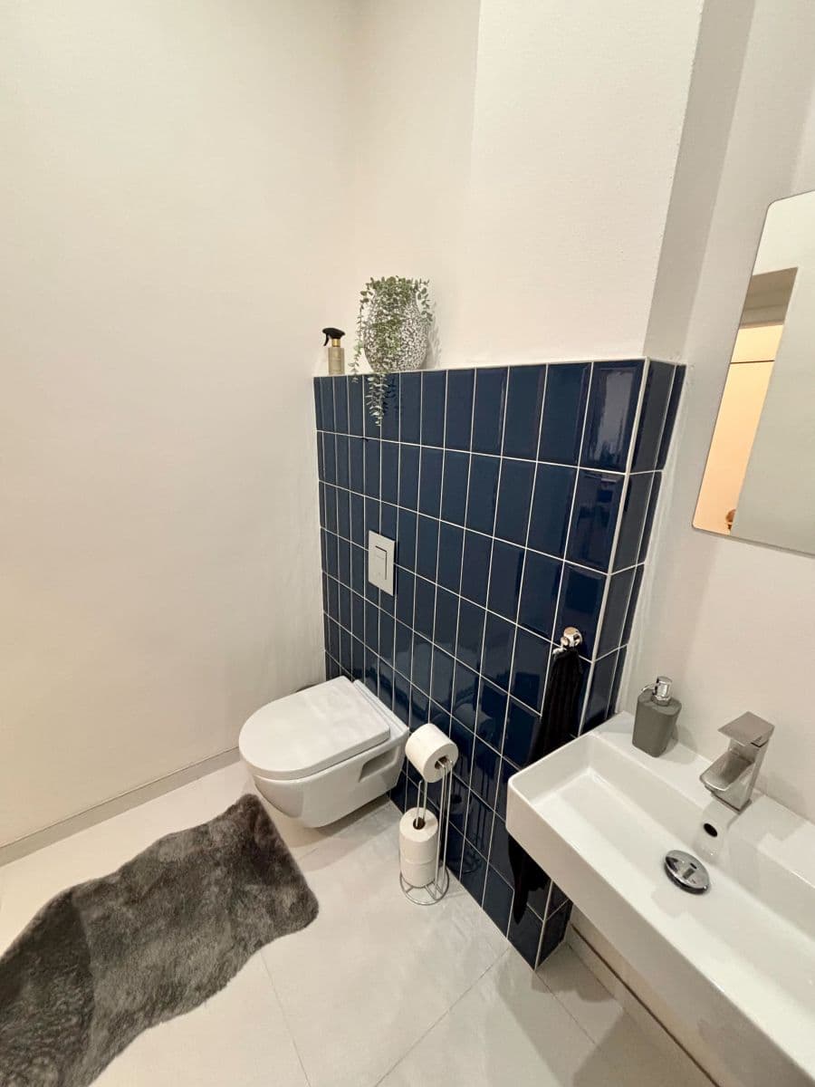 flat to rent, 45 m², Zenklova, Prague, Prague