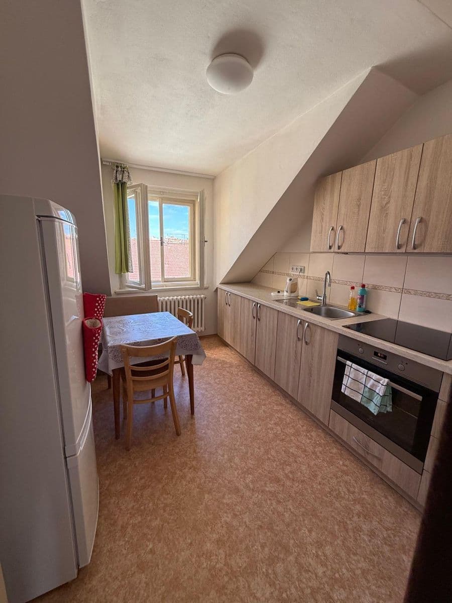 flat to rent, 300 m², Lublaňská, Prague, Prague