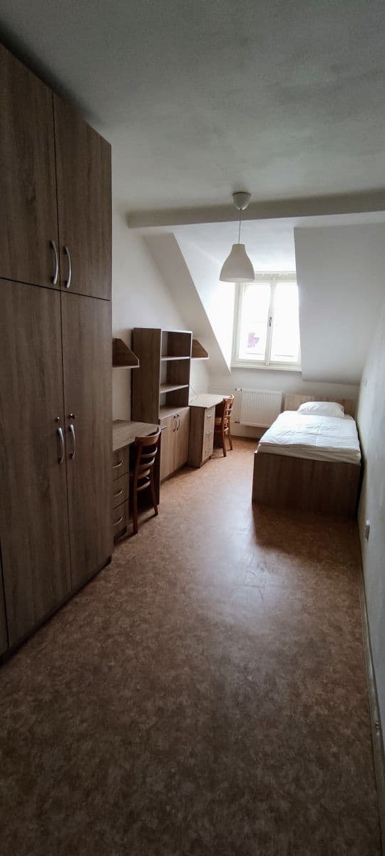 flat to rent, 300 m², Lublaňská, Prague, Prague