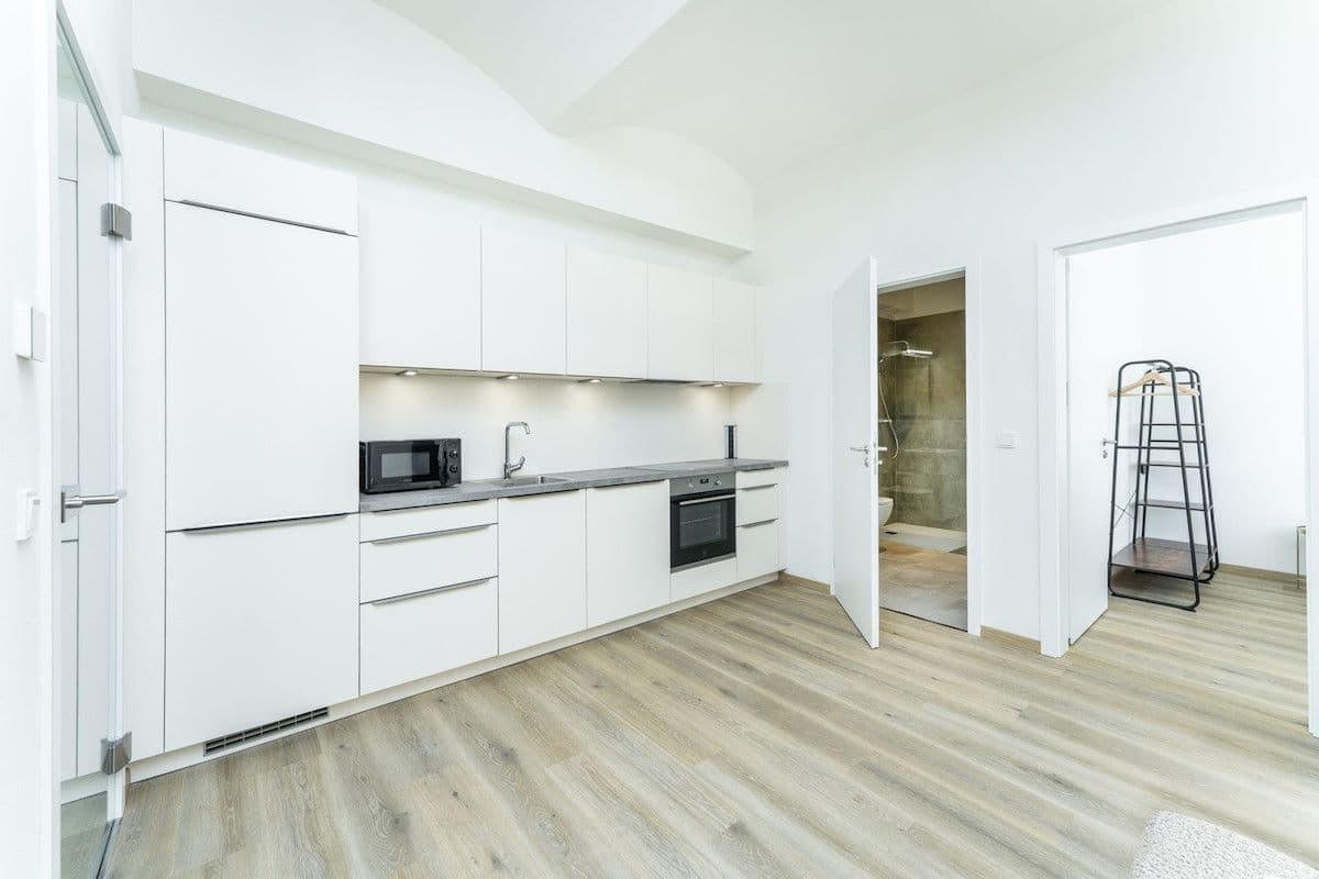 flat to rent, 48 m², Václavské náměstí, Prague, Prague