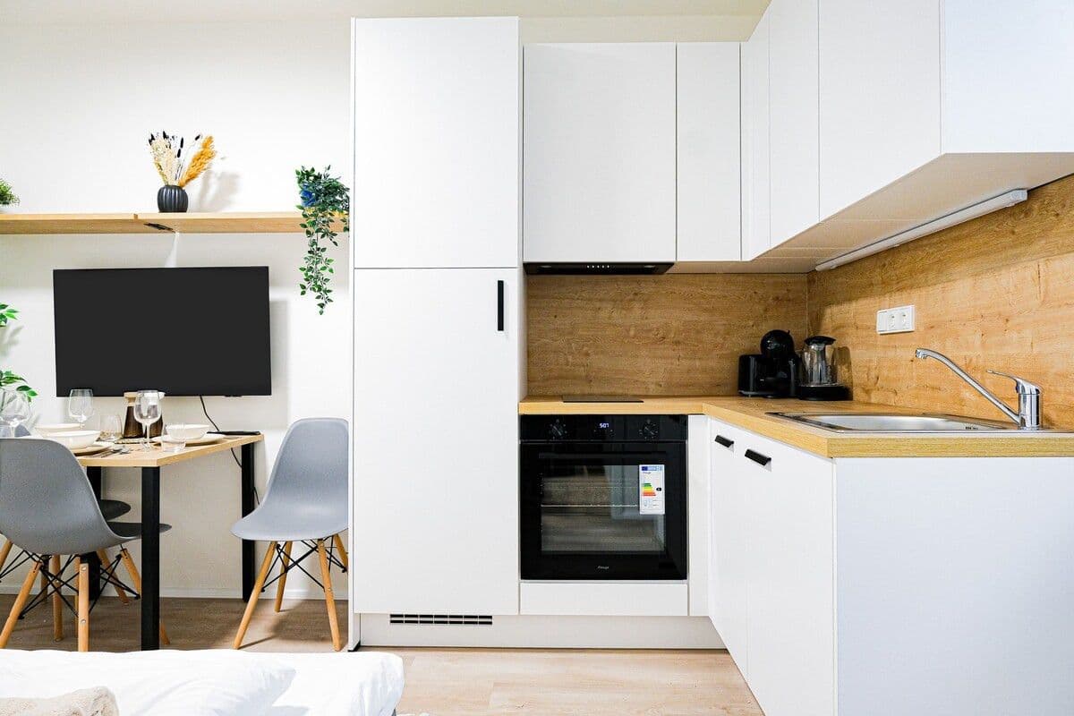 flat to rent, 45 m², Plzeňská, Prague, Prague