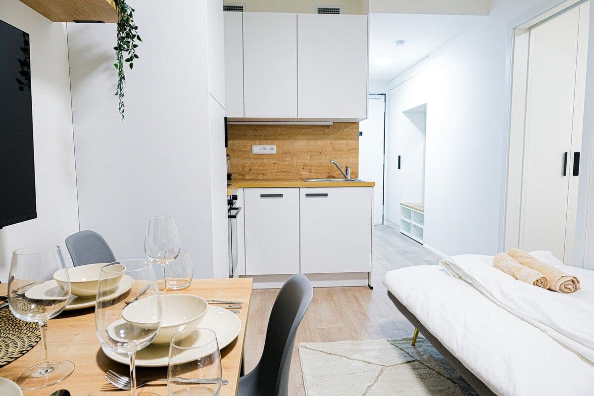 flat to rent, 45 m², Plzeňská, Prague, Prague