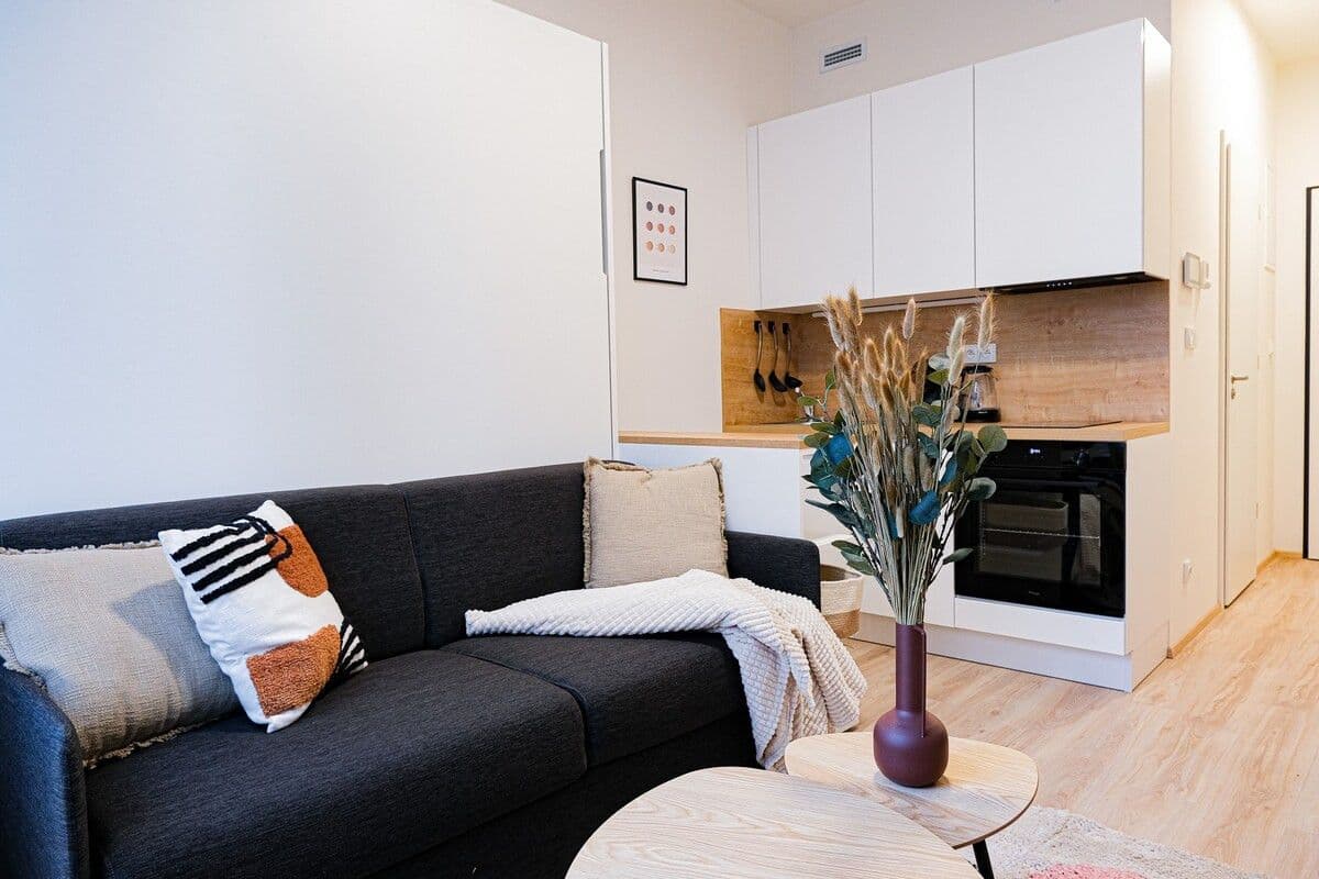 flat to rent, 20 m², Plzeňská, Prague, Prague