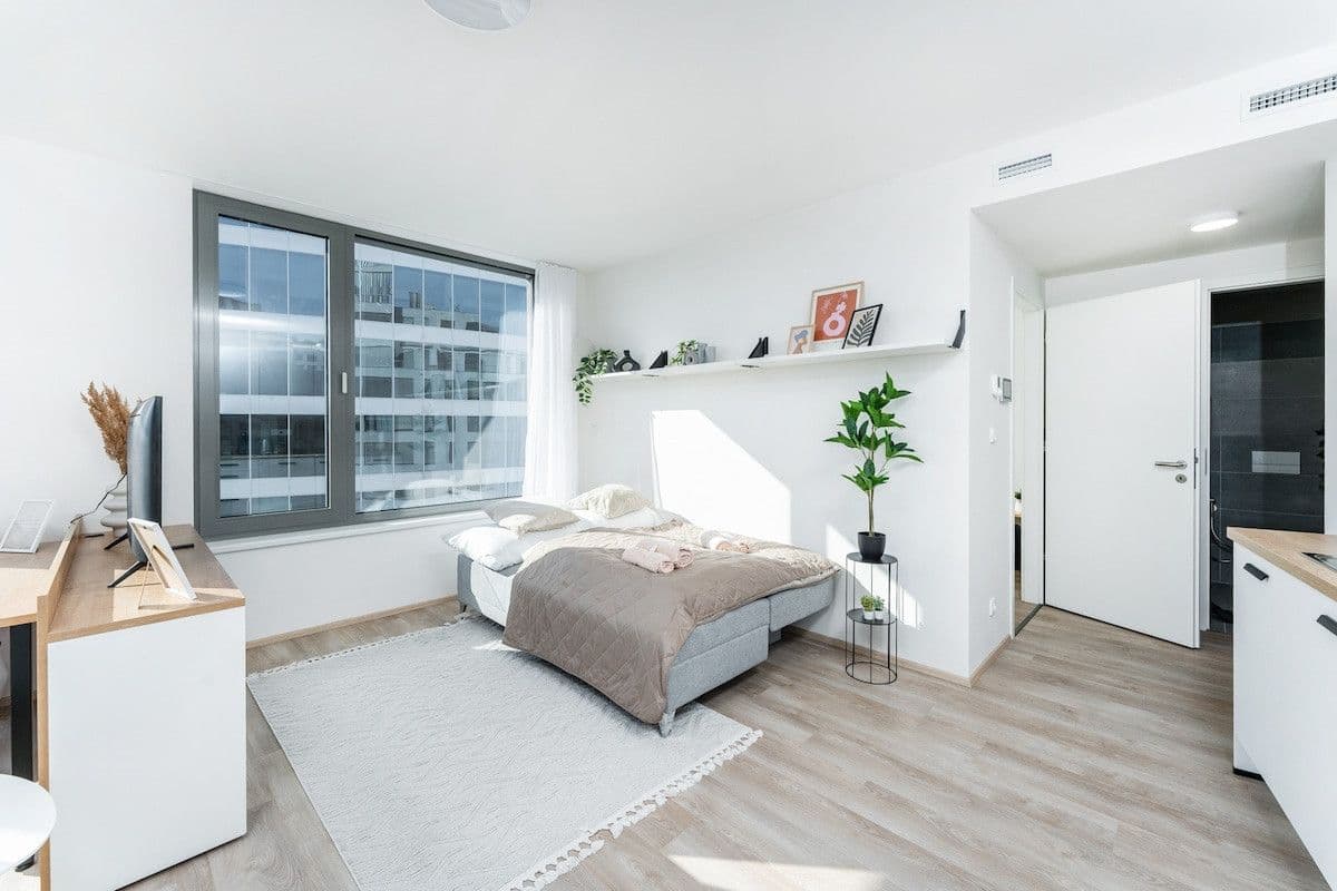 flat to rent, 45 m², Plzeňská, Prague, Prague