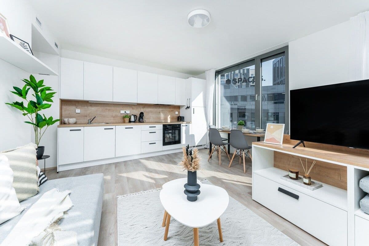 flat to rent, 45 m², Plzeňská, Prague, Prague