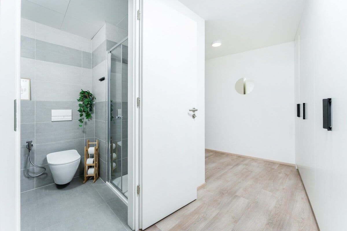 flat to rent, 45 m², Plzeňská, Prague, Prague