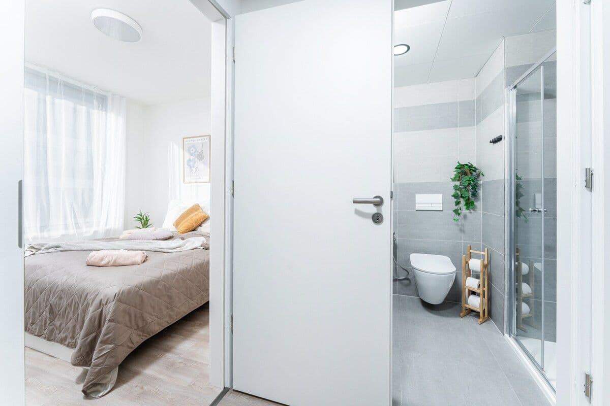 flat to rent, 45 m², Plzeňská, Prague, Prague