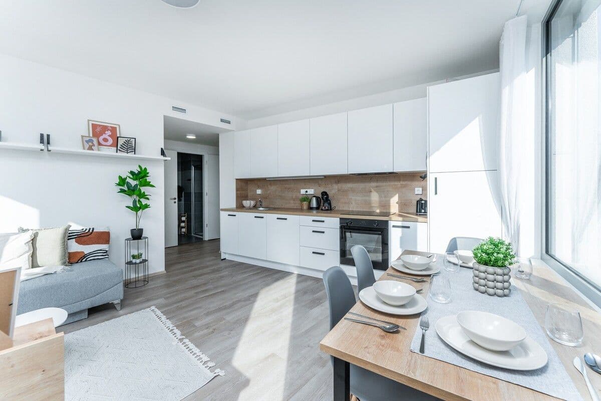 flat to rent, 45 m², Plzeňská, Prague, Prague