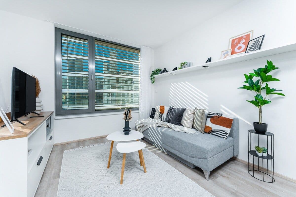 flat to rent, 45 m², Plzeňská, Prague, Prague