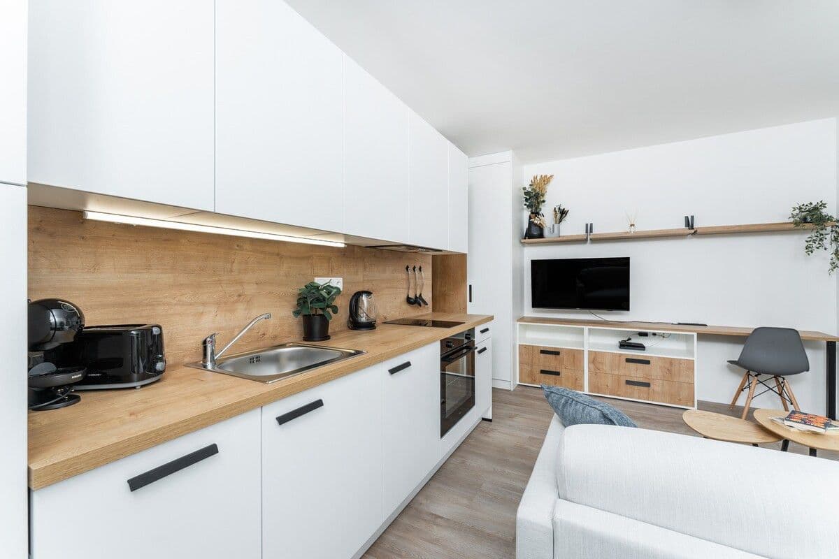 flat to rent, 35 m², Plzeňská, Prague, Prague