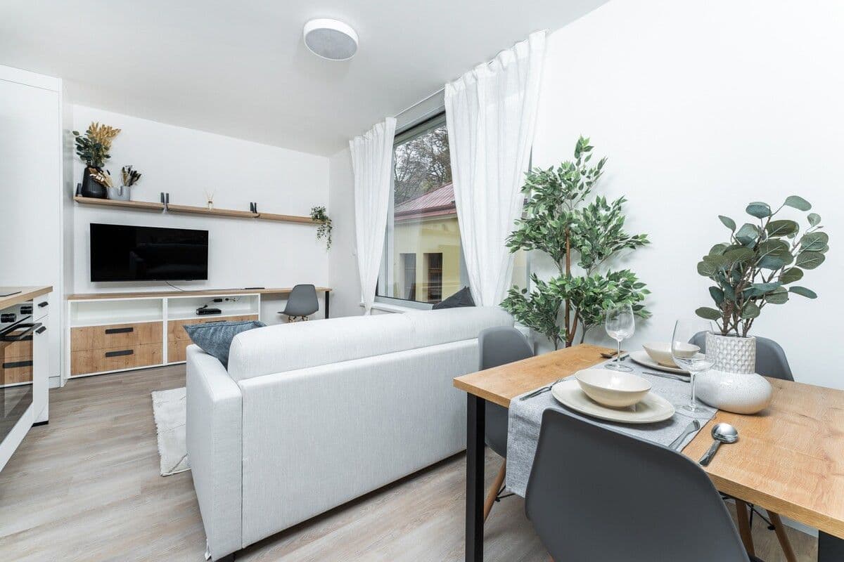 flat to rent, 35 m², Plzeňská, Prague, Prague