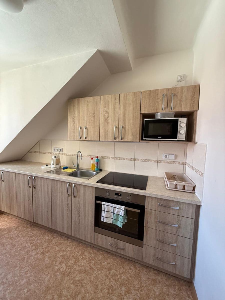 flat to rent, 300 m², Lublaňská, Prague, Prague