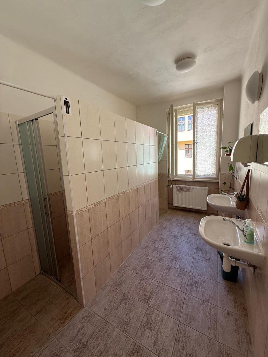 flat to rent, 300 m², Lublaňská, Prague, Prague