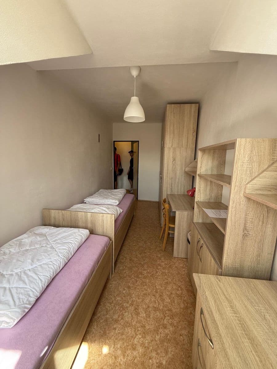 flat to rent, 300 m², Lublaňská, Prague, Prague