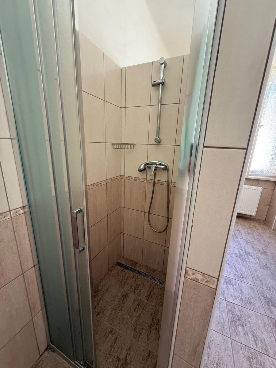 flat to rent, 300 m², Lublaňská, Prague, Prague