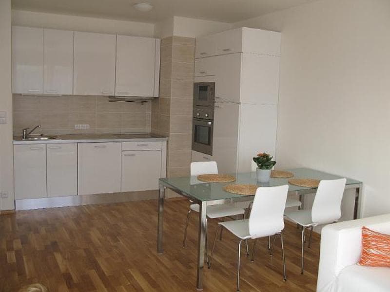 1 bedroom with open-plan kitchen flat to rent, 57 m², Na Císařce, Prague, Prague