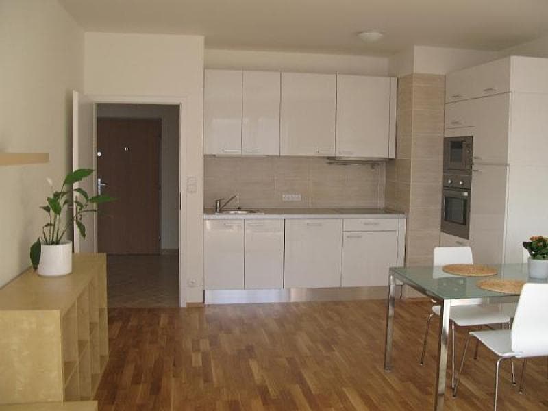 1 bedroom with open-plan kitchen flat to rent, 57 m², Na Císařce, Prague, Prague