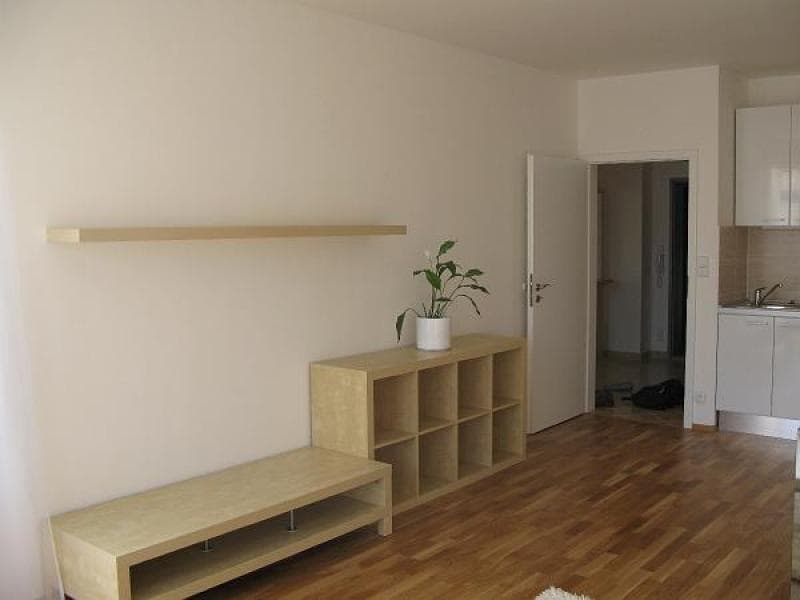 1 bedroom with open-plan kitchen flat to rent, 57 m², Na Císařce, Prague, Prague