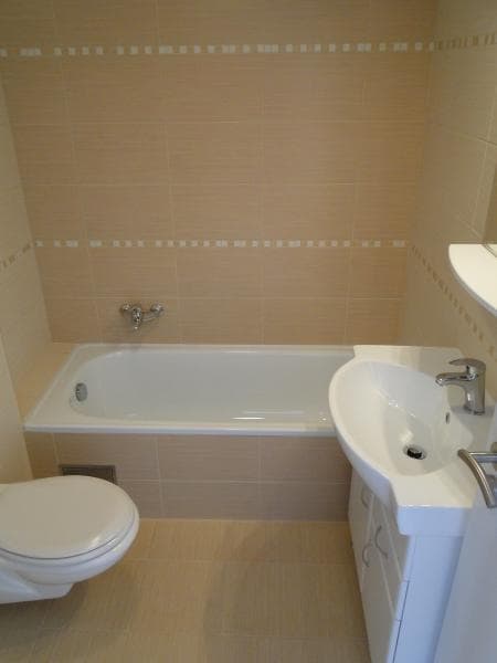 1 bedroom with open-plan kitchen flat to rent, 47 m², Na Vršku, Prague, Prague
