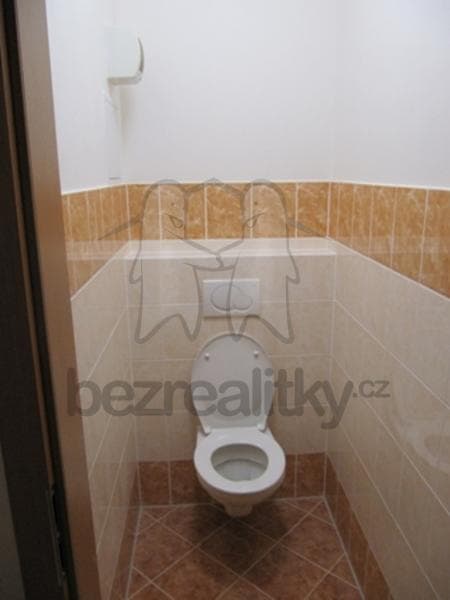 1 bedroom with open-plan kitchen flat to rent, 60 m², Strančická, Prague, Prague